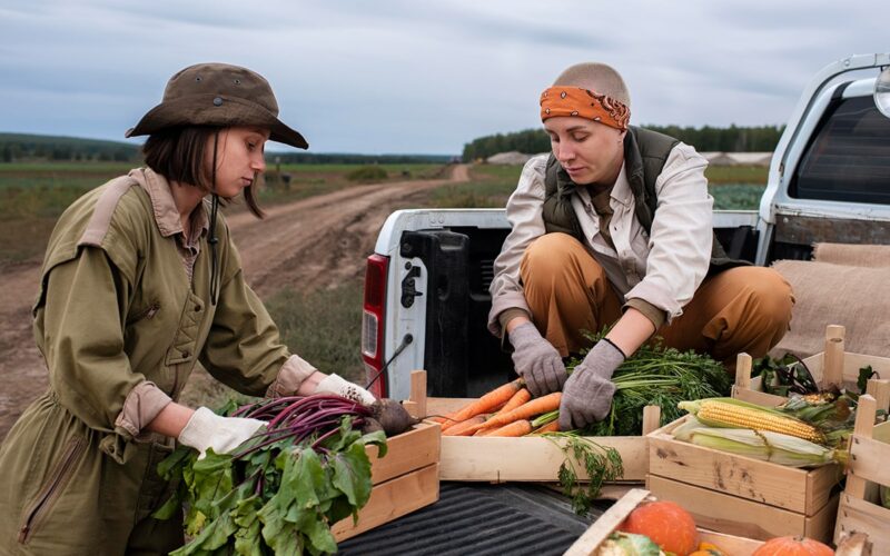Organic farming, food waste reduction, and ethical eating.