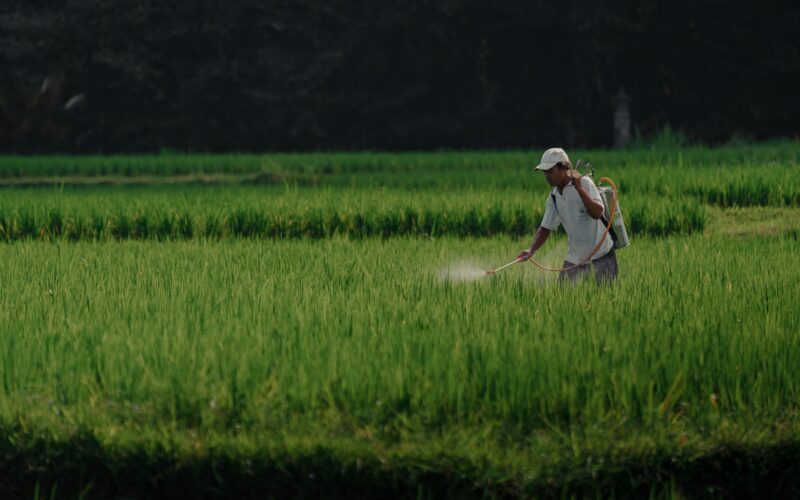 Supreme Court Weighs Landmark Pesticide Safety Case That Could Reshape Chemical Liability Rules