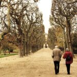 An older man and woman walking together through a sunlit park, representing active retirement and the impact of the triple lock pension.