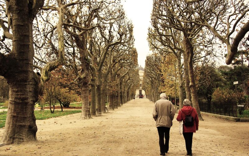 An older man and woman walking together through a sunlit park, representing active retirement and the impact of the triple lock pension.