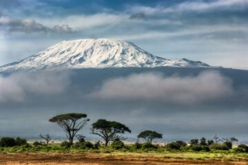 From Kilimanjaro to the Coast: A Lifesaver’s Return
