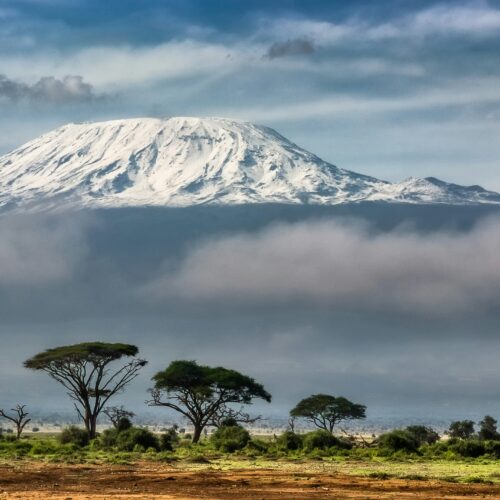 From Kilimanjaro to the Coast: A Lifesaver’s Return