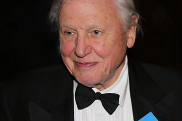 A Century of Wonder: Sir David Attenborough Reaches 100