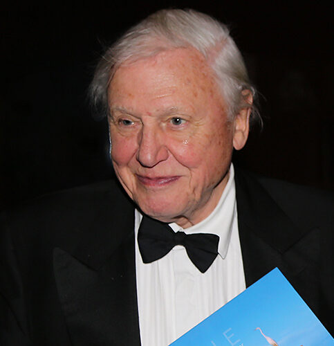 A realistic photograph of Sir David Attenborough standing outdoors alongside wildlife photographer Bence Máté, both looking at a camera display.