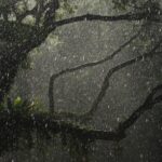 Latin America Mobilises as Governments Prepare for a Powerful El Niño