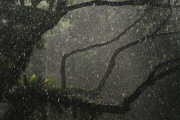 Latin America Mobilises as Governments Prepare for a Powerful El Niño