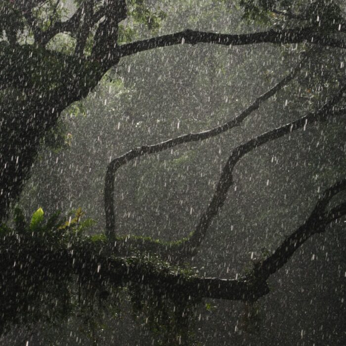 Latin America Mobilises as Governments Prepare for a Powerful El Niño
